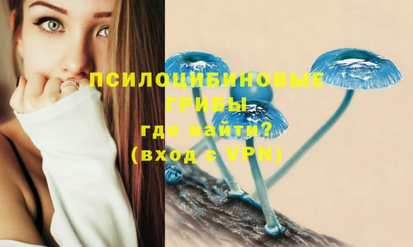 марки lsd Алзамай
