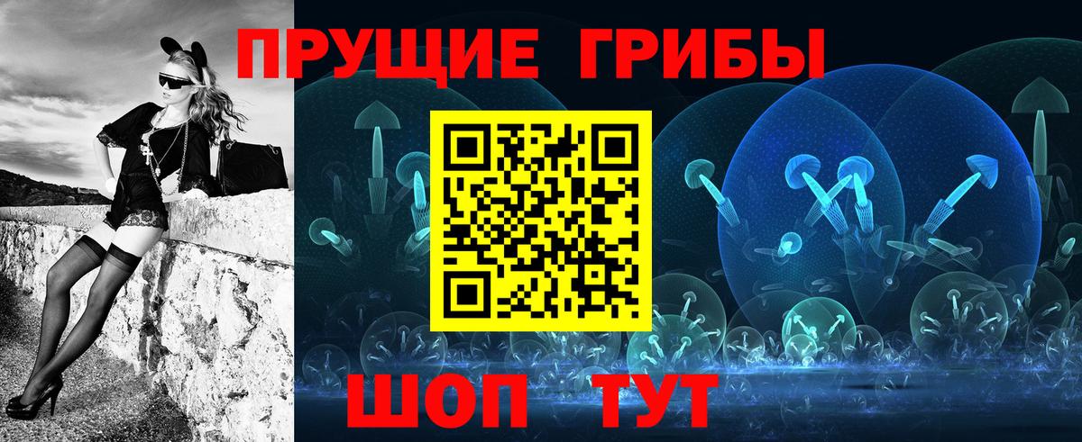 Большой Камень  Псилоцибиновые грибы MAGIC MUSHROOMS  Псилоцибиновые грибы MAGIC MUSHROOMS  Вход с VPN 