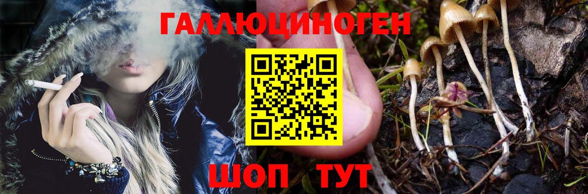 Псилоцибиновые грибы GOLDEN TEACHER Большой Камень