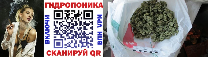 Конопля конопля Большой Камень